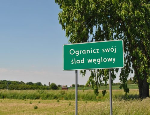 Jak zmniejszyć ślad węglowy swojej floty pojazdów?